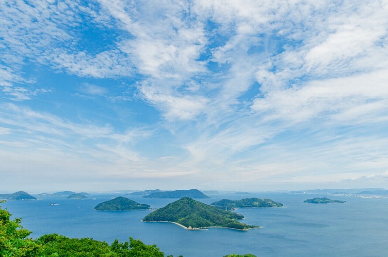 代表